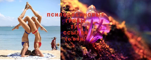 скорость Богданович