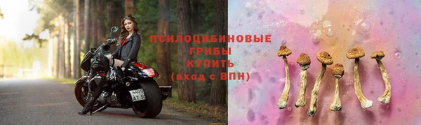 сатива Богородск
