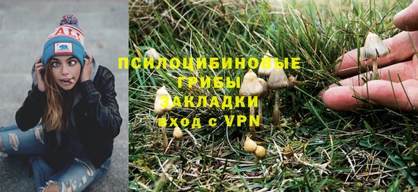 экстази Богородицк