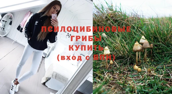 сатива Богородск